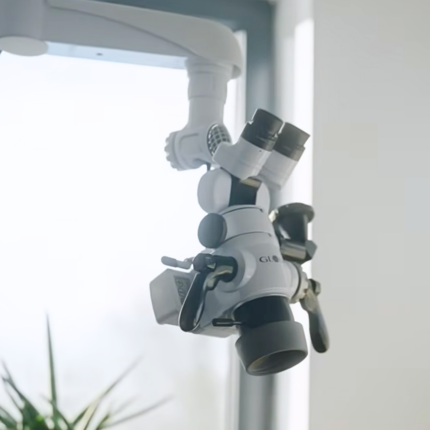 What Are the Signs You Need a Root Canal?