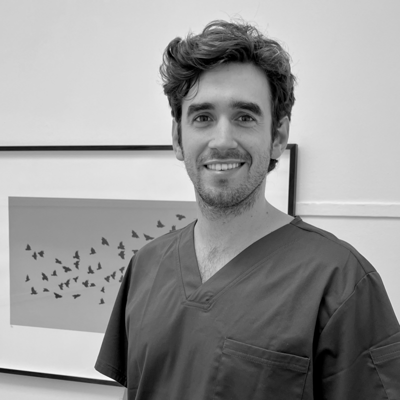 Alejandro Nunez Bassols